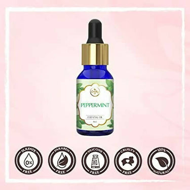 https://cdn.shopify.com/s/files/1/1857/6931/products/dc7l4jq3ZF.jpg?v=1662112121